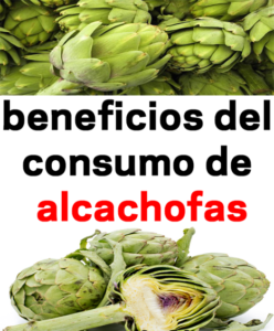 d-248x300 Incluye la alcachofa en tu dieta