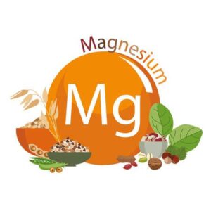 87677804-productos-ricos-en-magnesio-bases-de-comida-saludable-composicion-de-productos-organicos-naturales-y-300x300