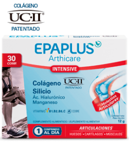 img_intensive_ucii-1-1-258x300 Clave para la salud ¨Colágeno¨