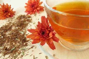 te-rooibois-300x200-1 LA FLOR DEL PIRINEO ROOIBOS BIO 60 G