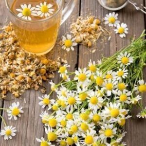 000949-14325215m-300x300 BIO3 MANZANILLA FLOR 25 INFUSI