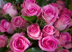 17705403-blush-rosas-de-color-rosa-colores-romanticos-de-amor-300x217 GEL INTIMO AGUA DE ROSAS DOUCE NATURE 250 ML