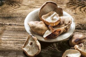 shiitake-fortalece-la-inmunidad-en-general_d290f666_720x480-300x200 DRASANVI SUPERALIMENTOS SHIITAKE